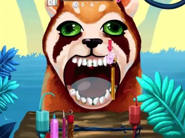 Become An Animal Dentist