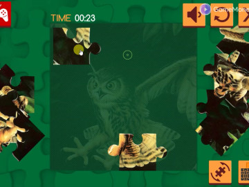 Birds of Prey Puzzle