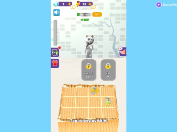 Cat Life Merge Money