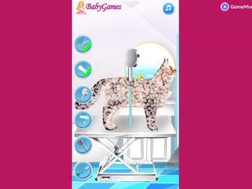 Cat Pet Doctor Dentist