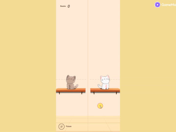 Duet Cats Halloween Cat Music