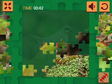 Lovable Birds Puzzle