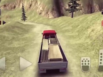 Truck Driver Crazy Road